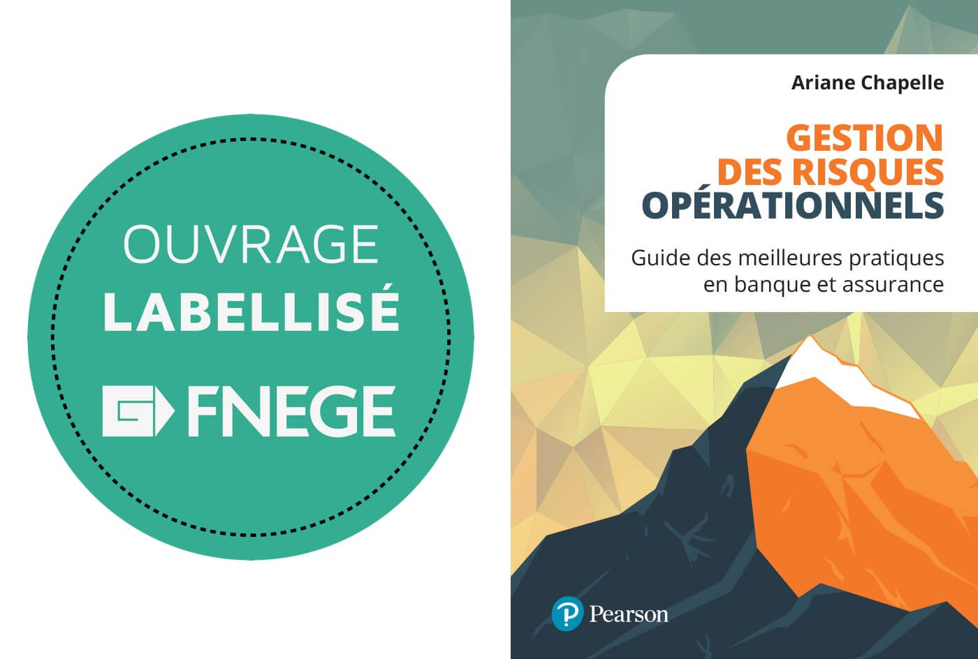 Gestion des risques opérationnels - Label FNEGE